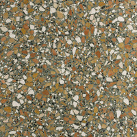 Aggregato Terrazzo - Serpente Polished