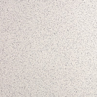 Aggregato Terrazzo - Salt on Pepper Polished