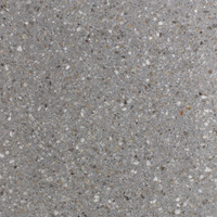 Aggregato Terrazzo - Warm Grey Honed