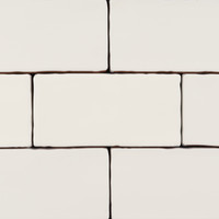 Cev Antico - Bone Glossy