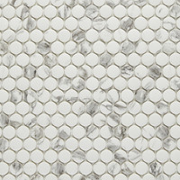 Avi Glass Marble Mosaics - Bianco Pennyround Matte/Glossy