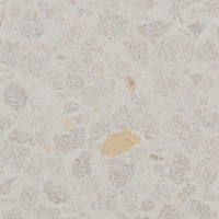 Gemma Marmo Terrazzo - Crema Sandblasted