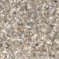 Gemma Nocciolo Terrazzo - Cinder Polished