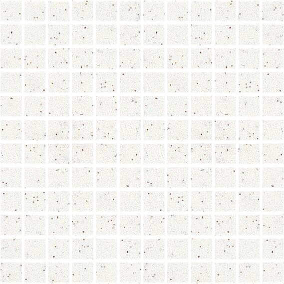 Bristol Praxis - White Speckled Matte