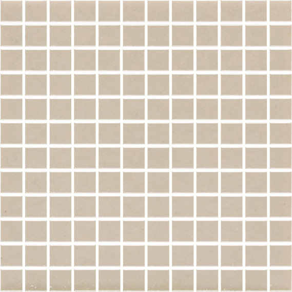 Bristol Praxis - Fawn Matte