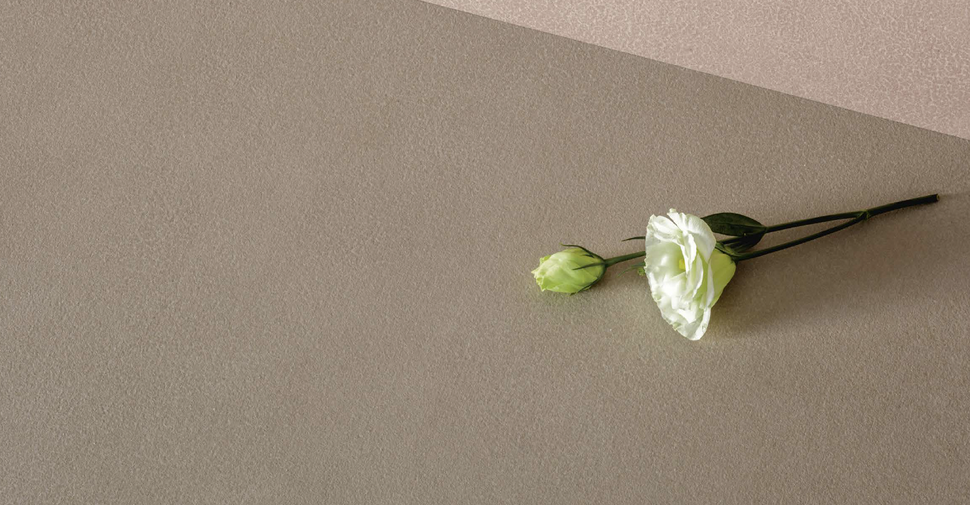 Grove Splendor - Desert Matte