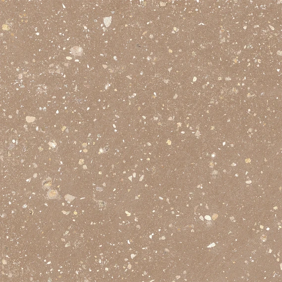 Begonia Astro - Cotto Matte | Glazed Porcelain