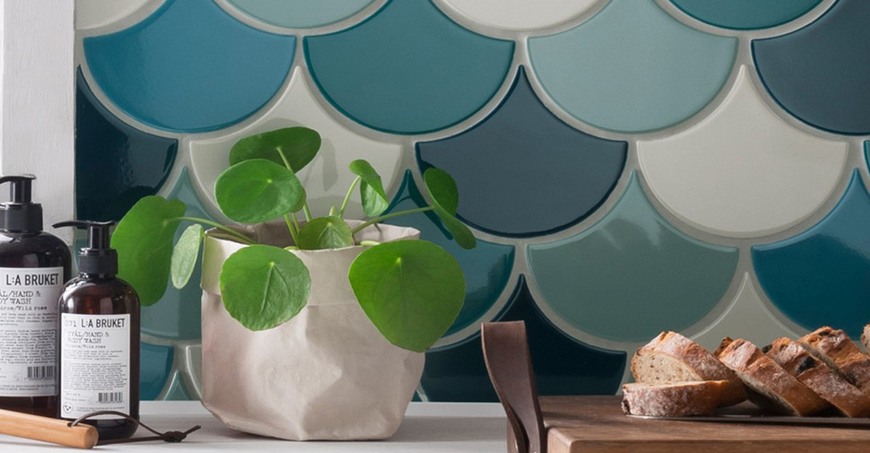 Cev Scale - Nordic Glossy