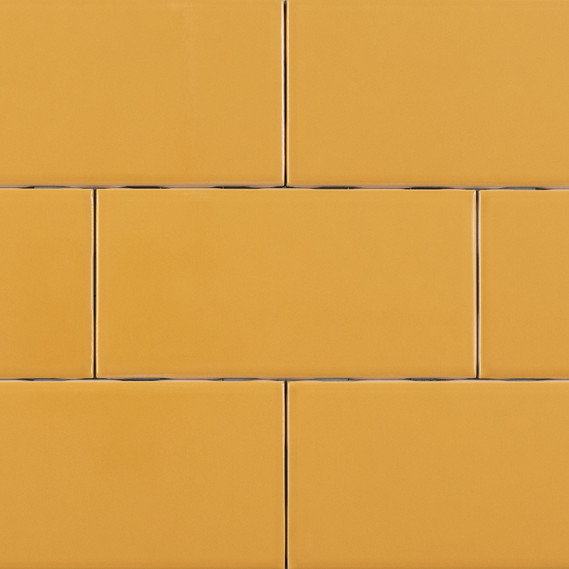 Eden Color Walls - Mustard Glossy