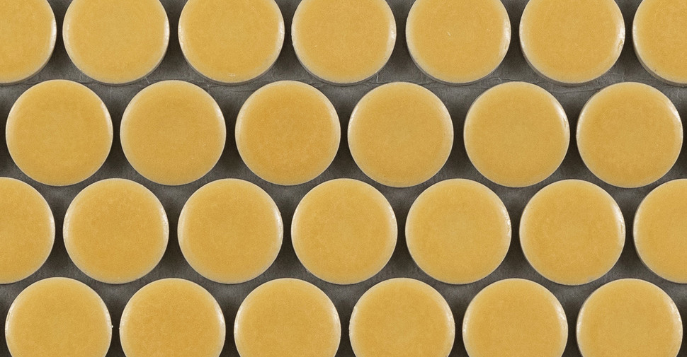 Umi Glazed Penny - Mustard Glossy