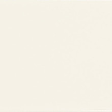 Avi Palisade - Biscuit Glossy