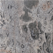 Marble - Breccia Nuvole Antico