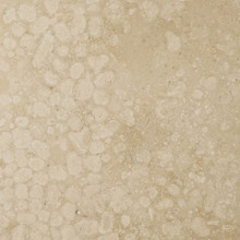 Travertine - Latte Polished