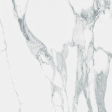 Eden Apogee Wall - Statuary Glossy