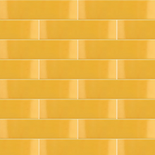 Casey Opto - Yellow Glossy