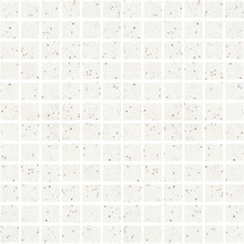 Bristol Praxis - White Speckled Matte