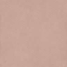 Grove Splendor - Dawn Matte