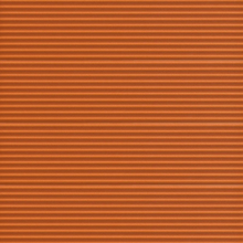 Avi Alto - Orange Ribbed Satin