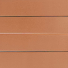 Salbo Tanta - Cocoa Glossy