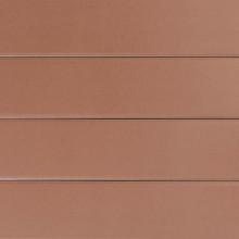 Salbo Tanta - Coffee Glossy
