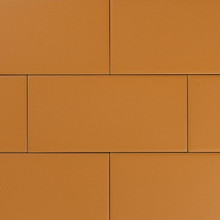 Bristol Omni - Curry Matte