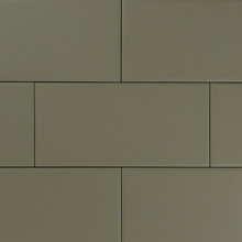 Bristol Omni - Asparagus Matte
