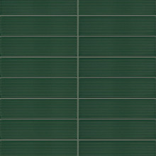 Bristol Empress - Evergreen Glossy