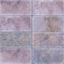 Onda Starling - Lavender Glossy