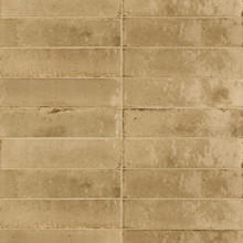 Quarto Bella - Sand Glossy