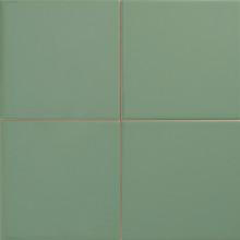 Anselmo Plano - Leaf Glossy