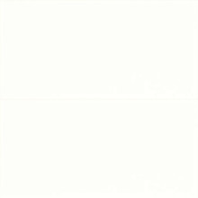 Bristol Iridia - Snow Glossy