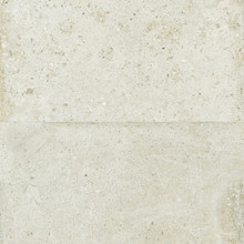 Gage Carbono - Bone Matte