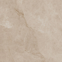 Maurizio Ballroom - Taj Glossy