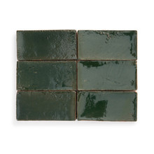 Amparo Palma - Basil Glossy