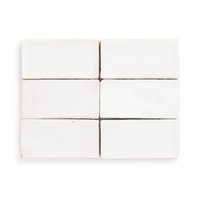 Amparo Palma - Sheer Glossy