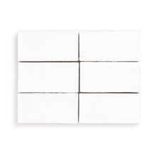 Amparo Palma - Talc Glossy