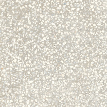 Bristol Savvy - Bone Matte
