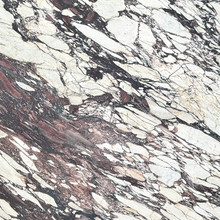 Marble - Calacatta Viola Polished