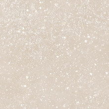 Begonia Astro - Sand Matte
