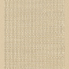 Vista Lotus - Sand Border Matte