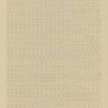 Vista Lotus - Sand Border Matte