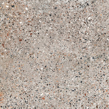 Begonia Venetian - Grey Matte