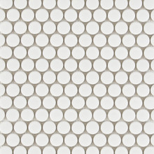 Eden Glazed Porcelain Mosaic - Penny Rounds White Matte