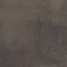 Avi Shield - Brown Matte