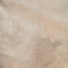 Avi Shield - Beige Matte