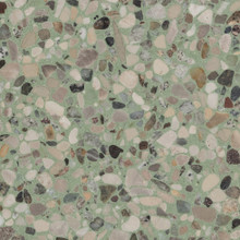 Gemma Nocciolo Terrazzo - Luster Honed