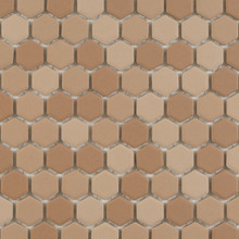 International Seis - Variegated Beige 209 Matte