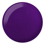 #261 DND DC Puzzled Purple