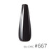 #667 - bio-CHIC Gel Polish 15ml