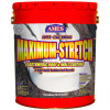 AMES RESEARCH LABS MSS5 AMES MAXIMUM STRETCH ROOF COATING & SEAL
